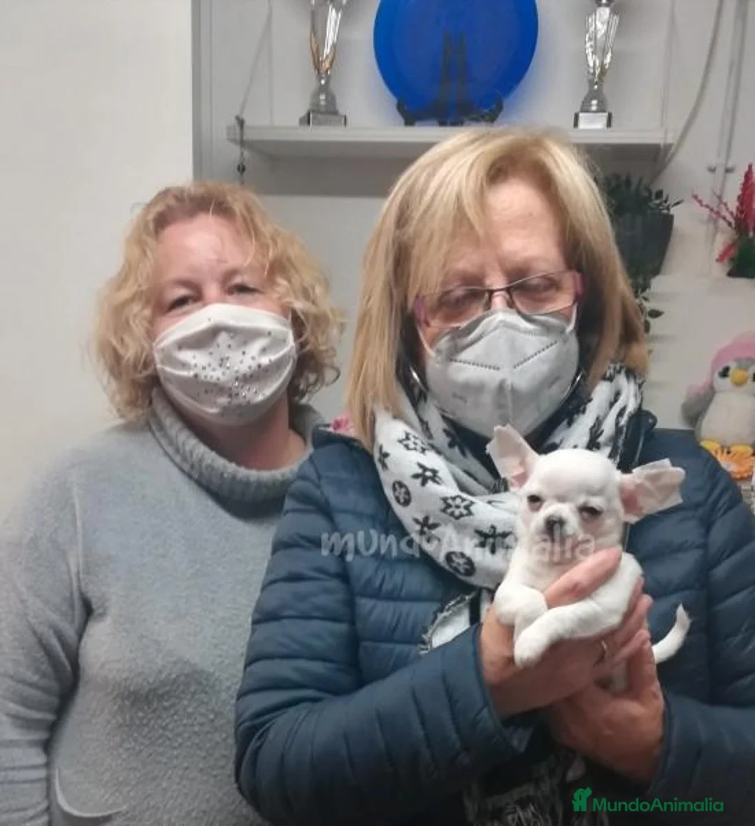 Imagen de galería {{count}}