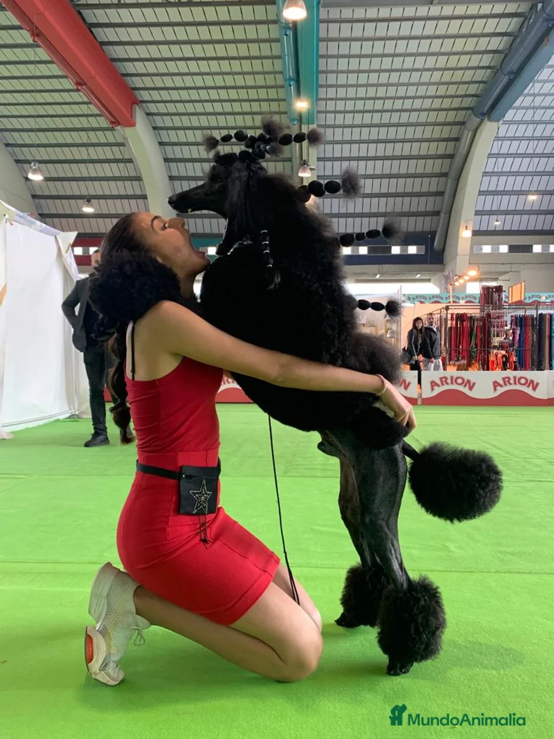 Imagen de galería {{count}}