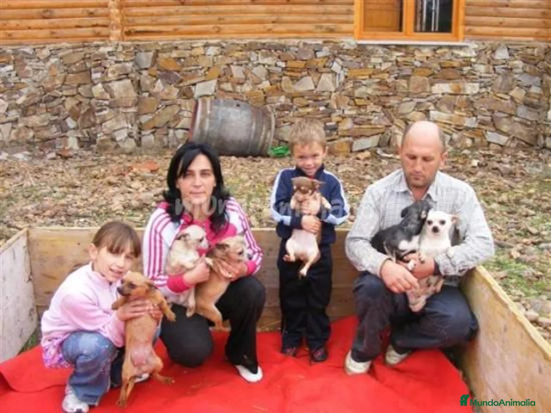 Imagen de galería {{count}}