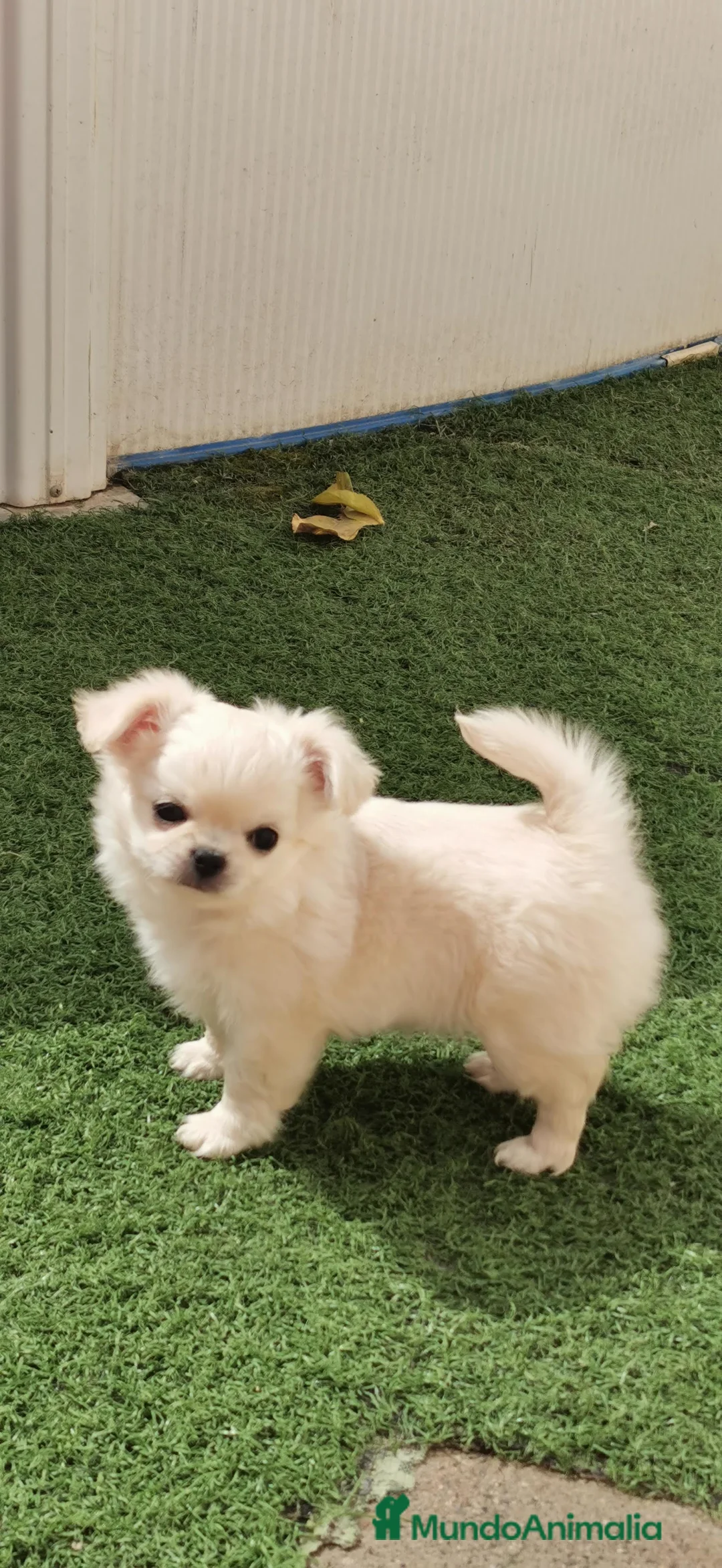 Imagen de galería {{count}}