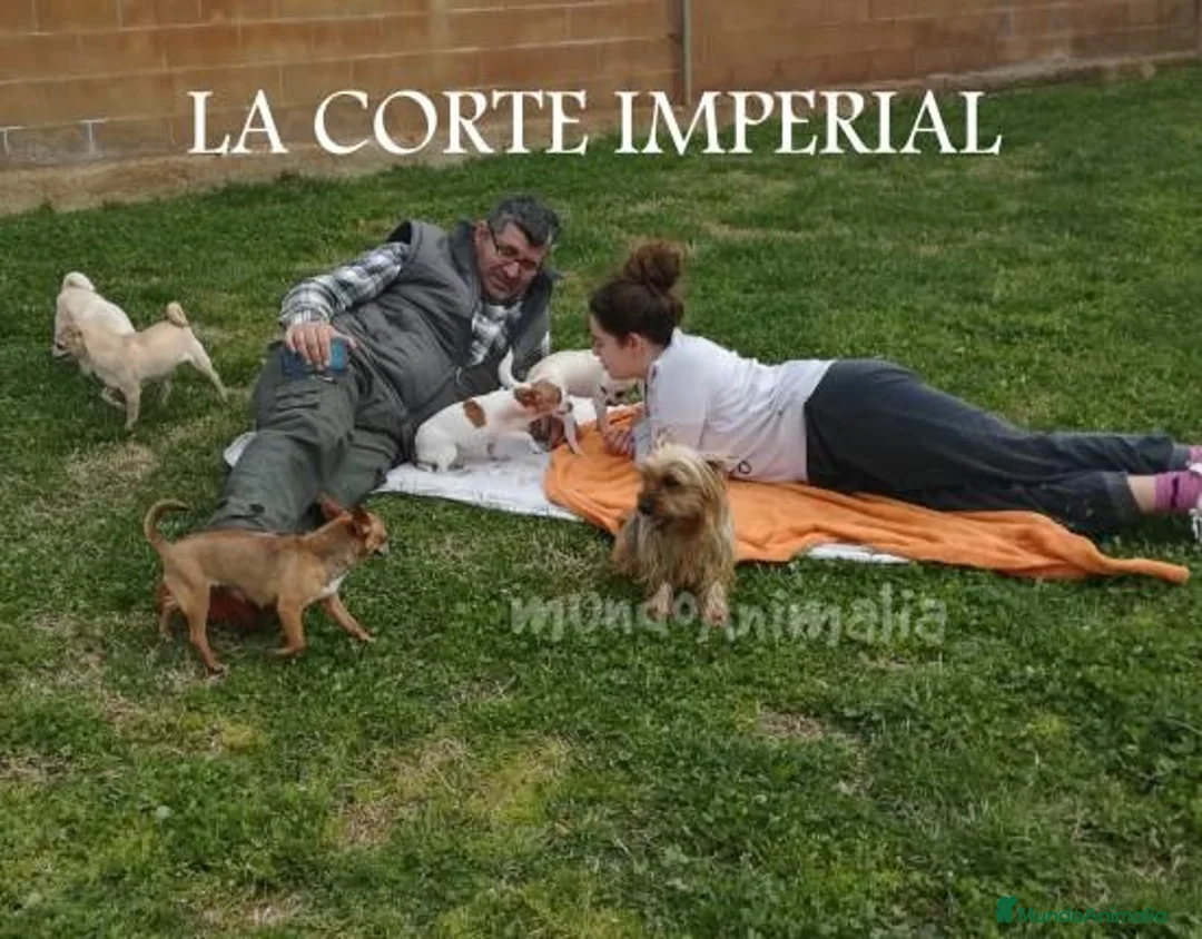 Imagen de galería {{count}}