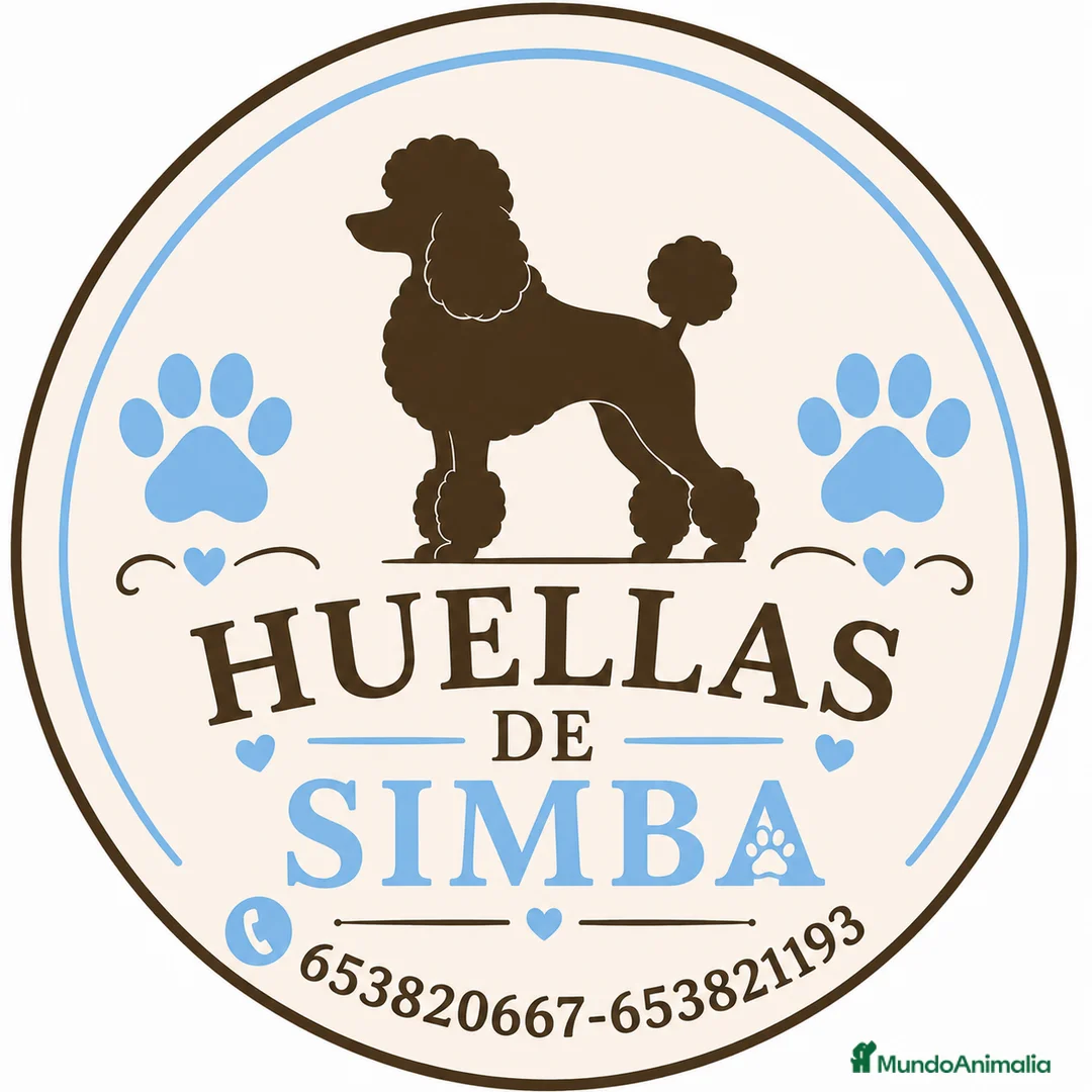 Imagen de galería {{count}}