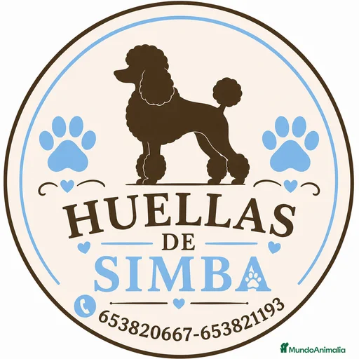 Imagen de galería {{count}}