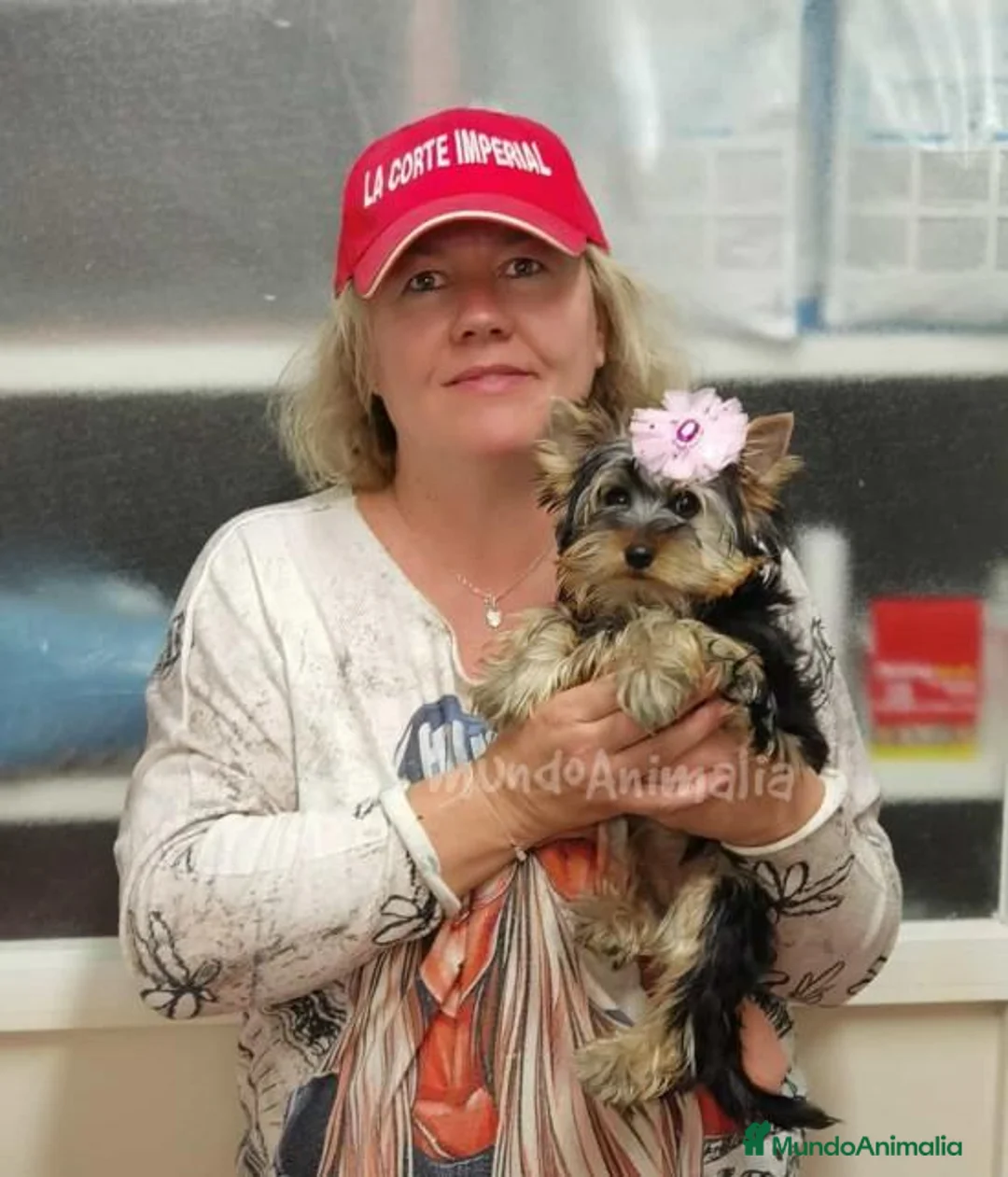 Imagen de galería {{count}}