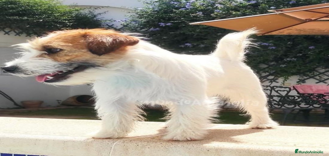 Imagen de galería {{count}}