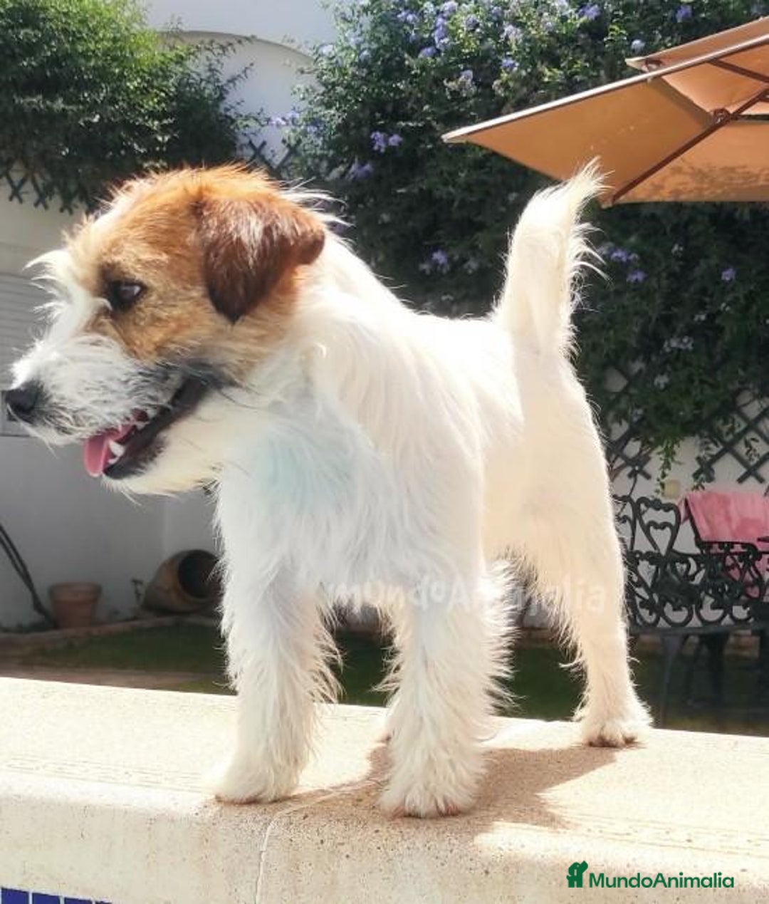 Imagen de galería {{count}}