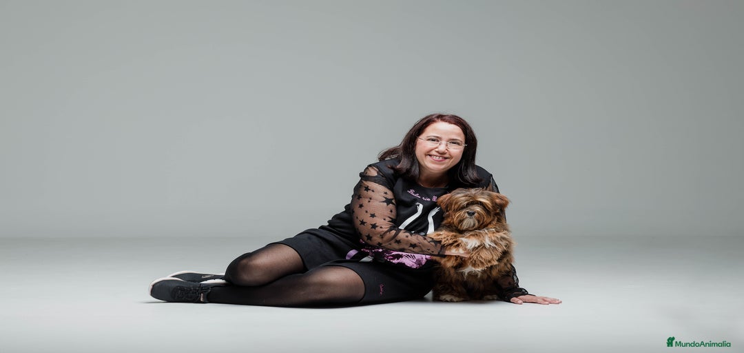 Imagen de galería {{count}}