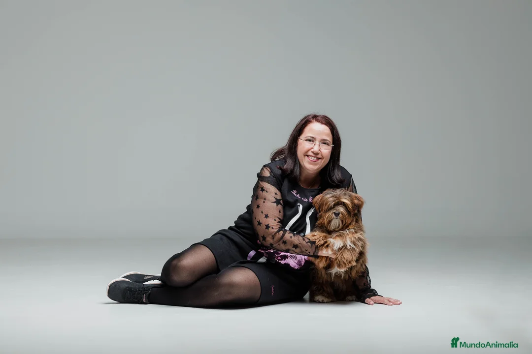 Imagen de galería {{count}}