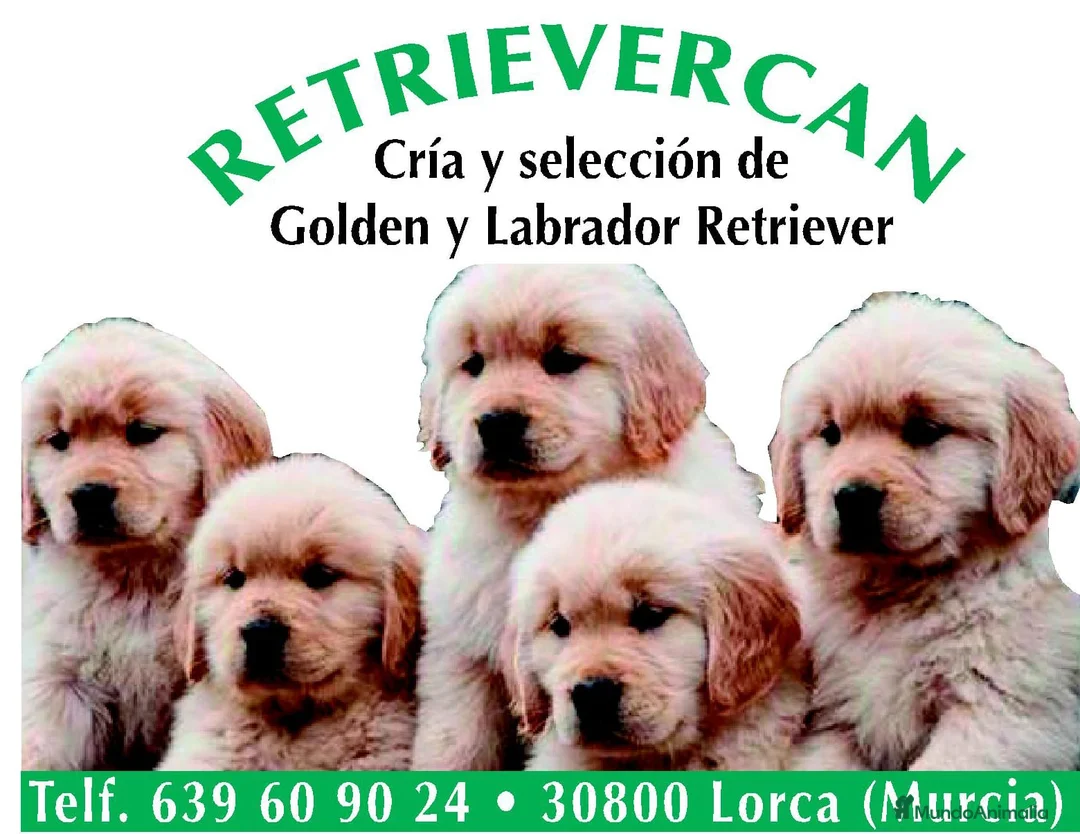 Imagen de galería {{count}}