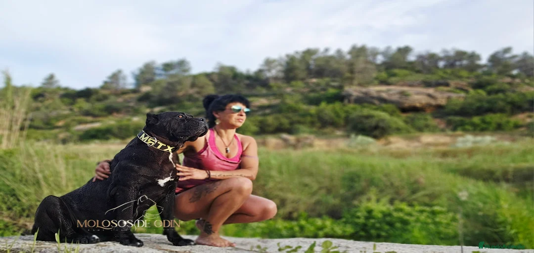 Imagen de galería {{count}}