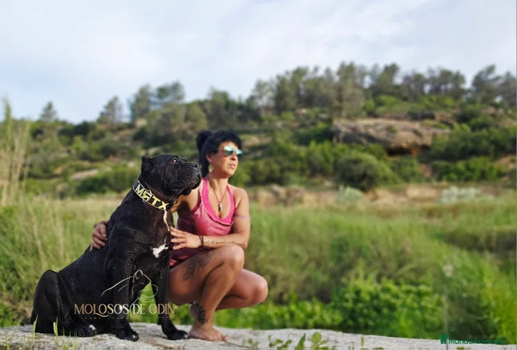 Imagen de galería {{count}}