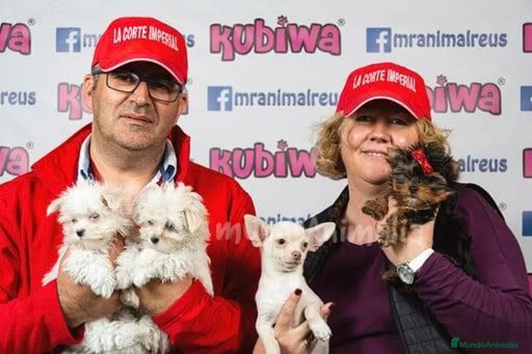 Imagen de galería {{count}}