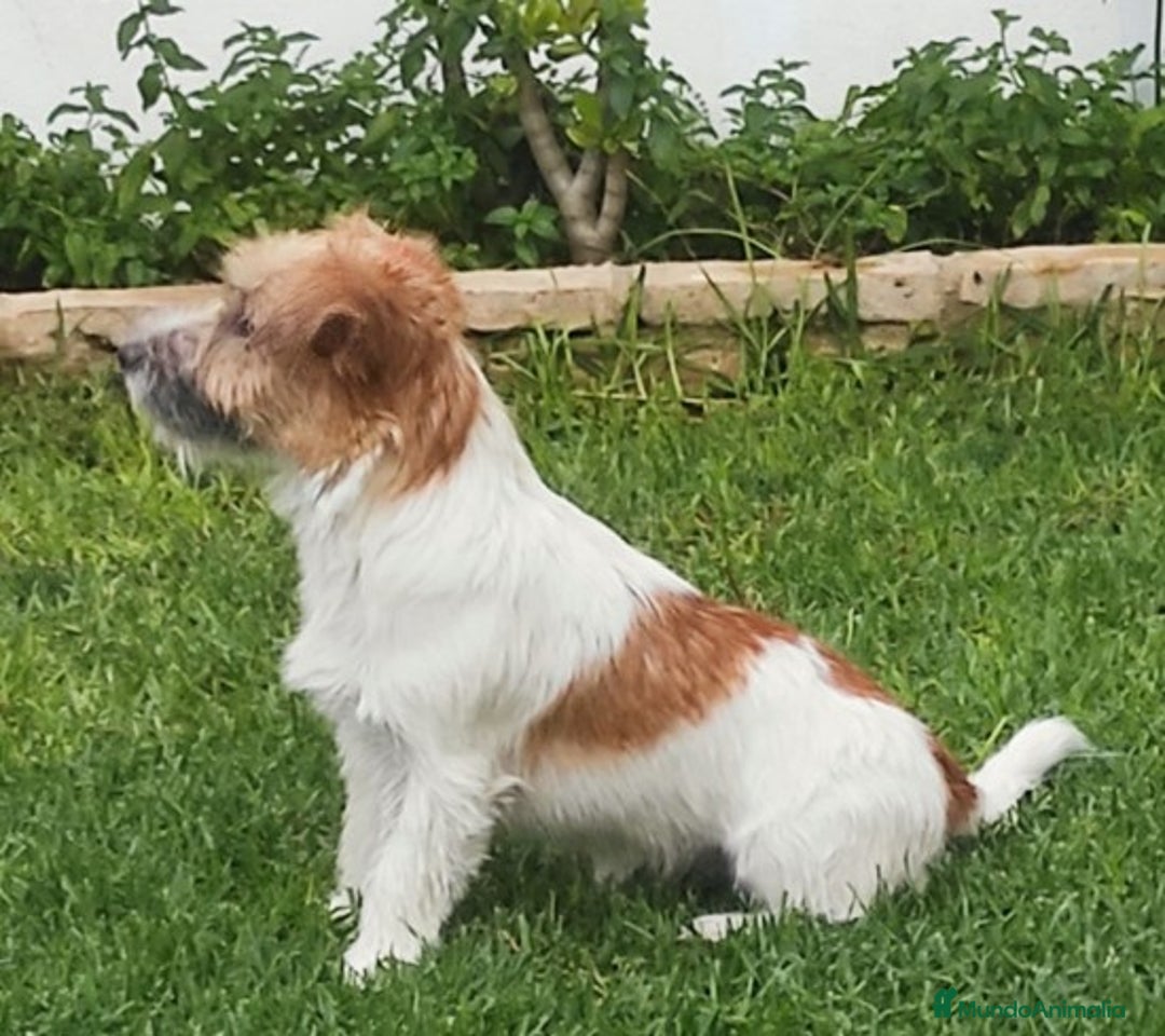 Imagen de galería {{count}}