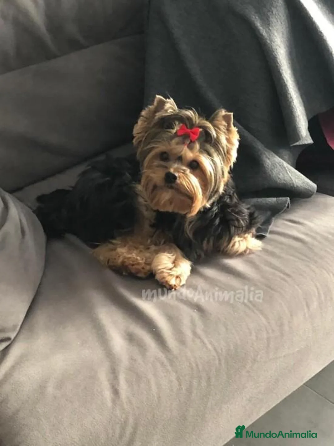 Imagen de galería {{count}}