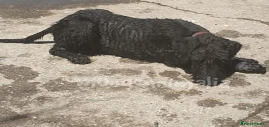 Imagen de galería {{count}}