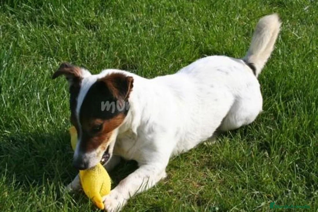 Imagen de galería {{count}}