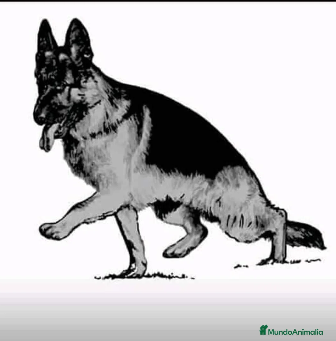 Imagen de galería {{count}}