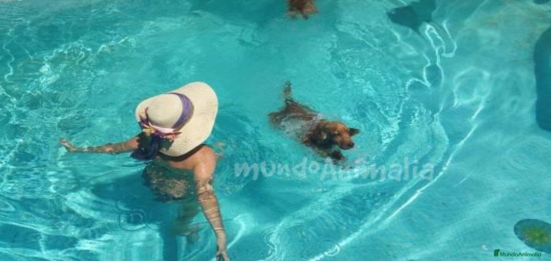 Imagen de galería {{count}}