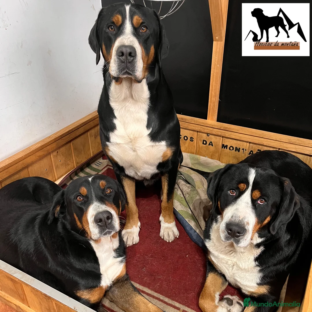 Imagen de galería {{count}}