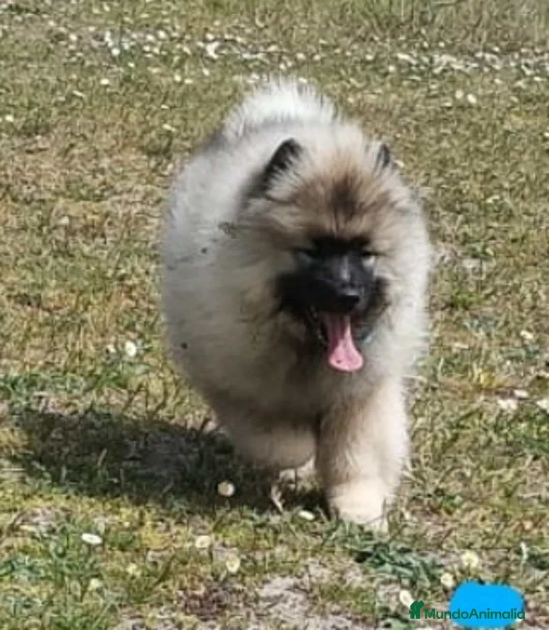 Imagen de galería {{count}}