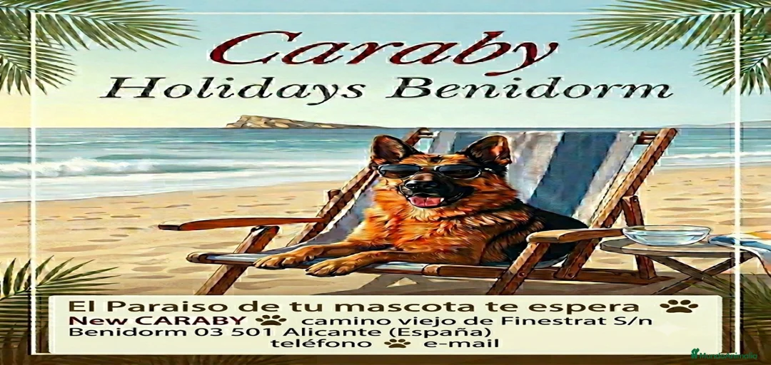 Imagen de galería {{count}}
