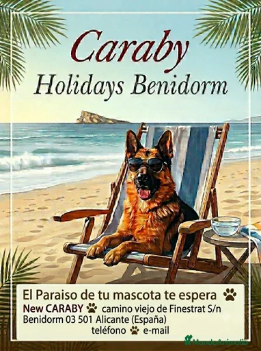 Imagen de galería {{count}}