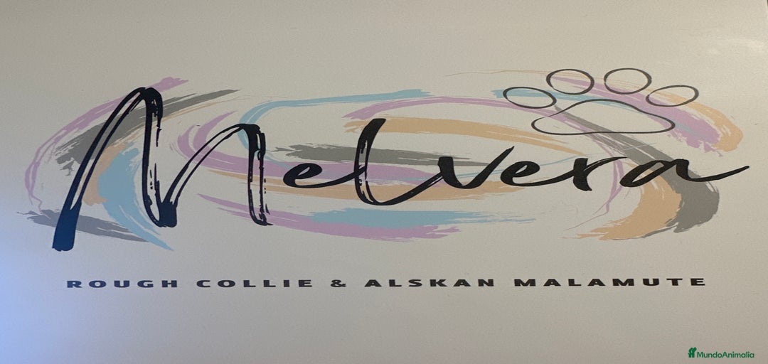 Imagen de galería {{count}}