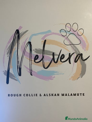 Imagen de galería {{count}}