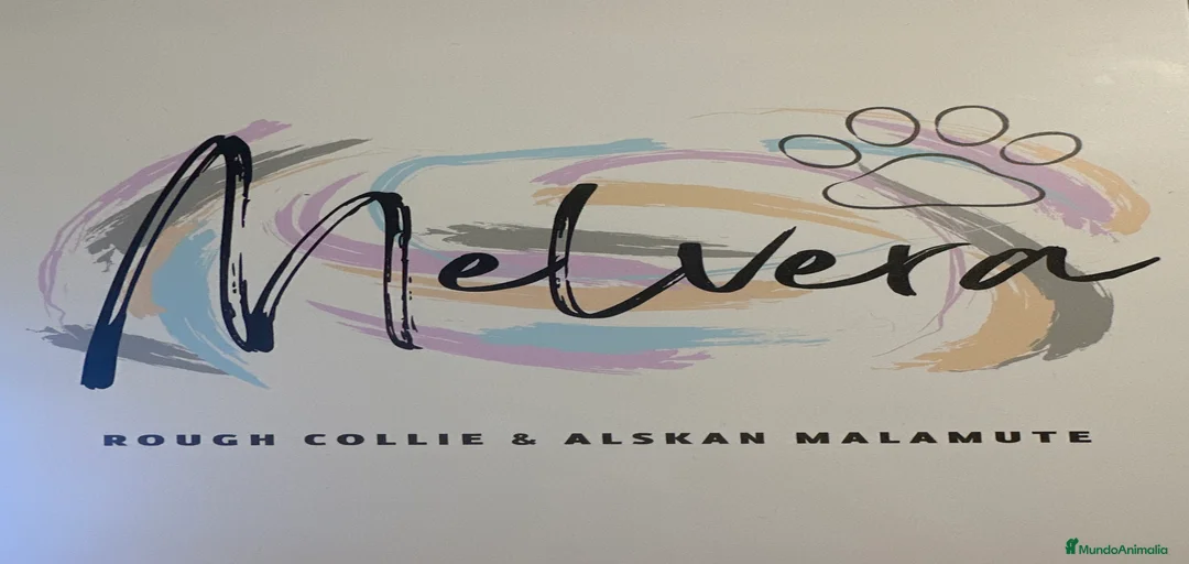 Imagen de galería {{count}}