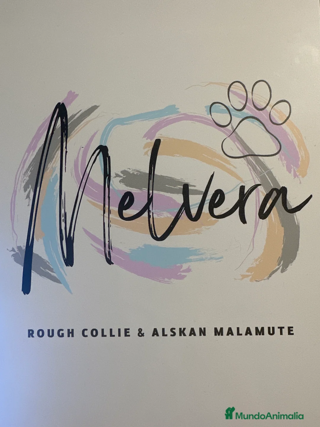 Imagen de galería {{count}}