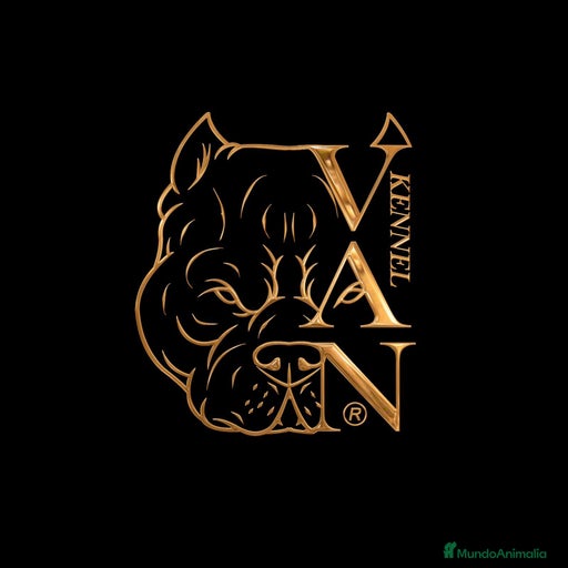 Imagen de galería {{count}}