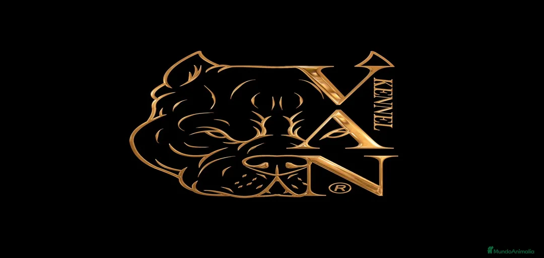 Imagen de galería {{count}}