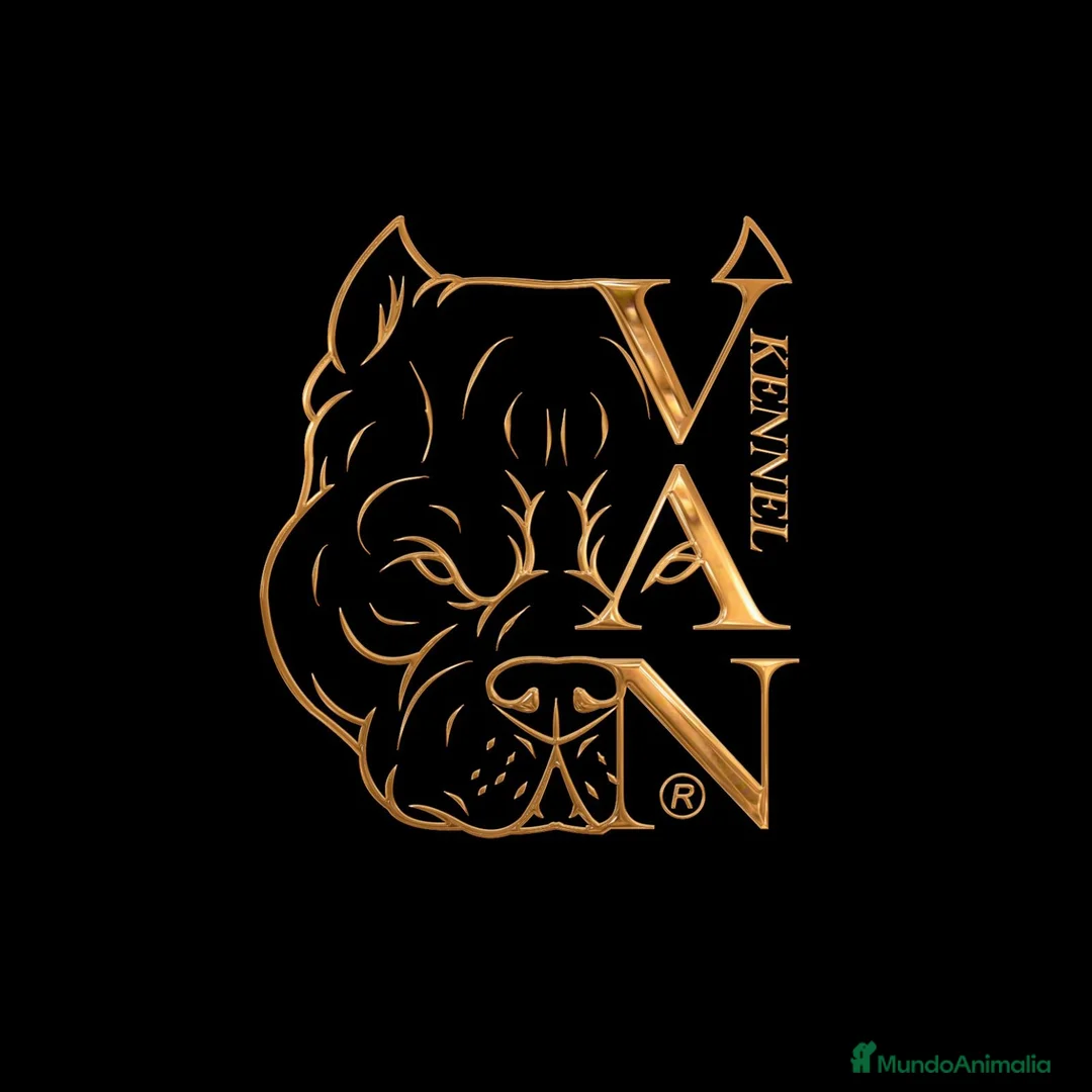 Imagen de galería {{count}}