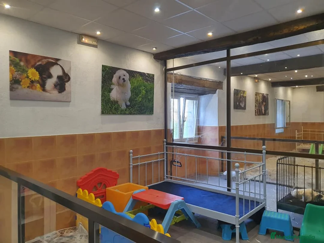 Imagen de galería {{count}}