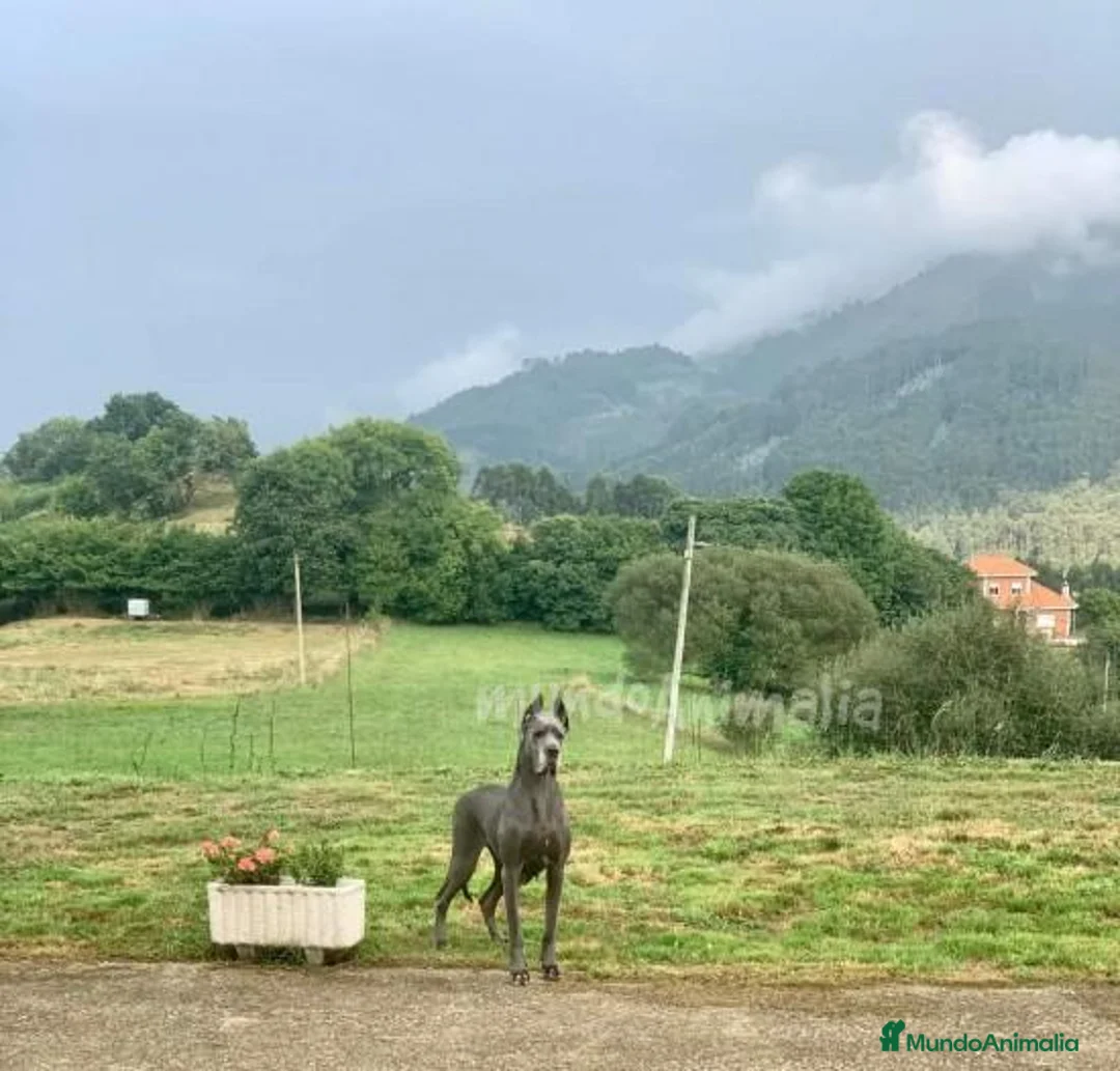 Imagen de galería {{count}}