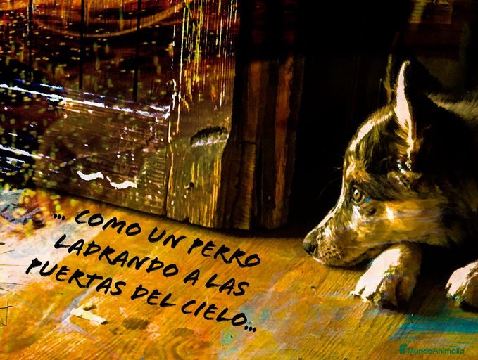 Imagen de galería {{count}}