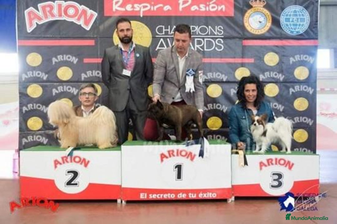 Imagen de galería {{count}}