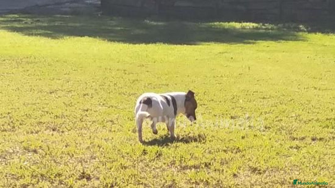 Imagen de galería {{count}}