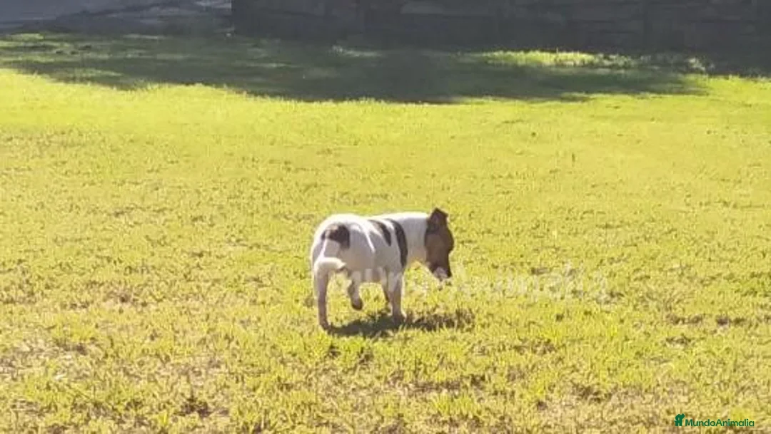 Imagen de galería {{count}}