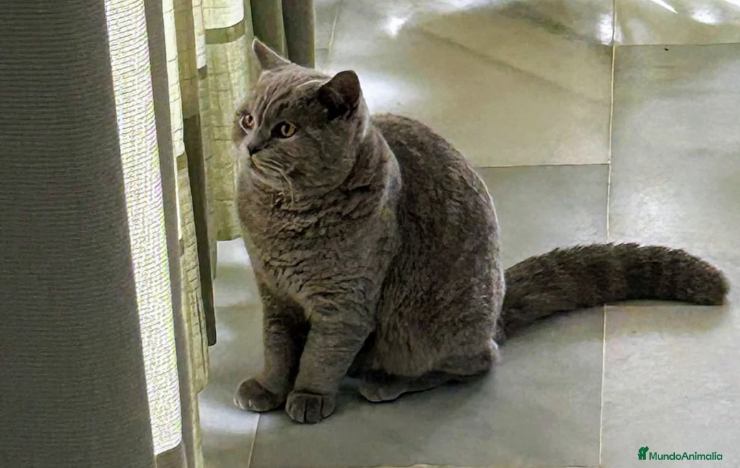 Imagen de galería {{count}}