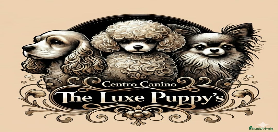 Imagen de galería {{count}}