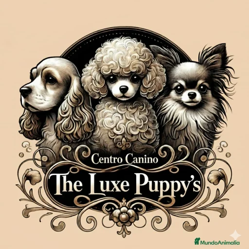 Imagen de galería {{count}}