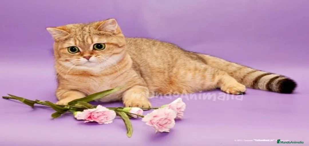 Imagen de galería {{count}}