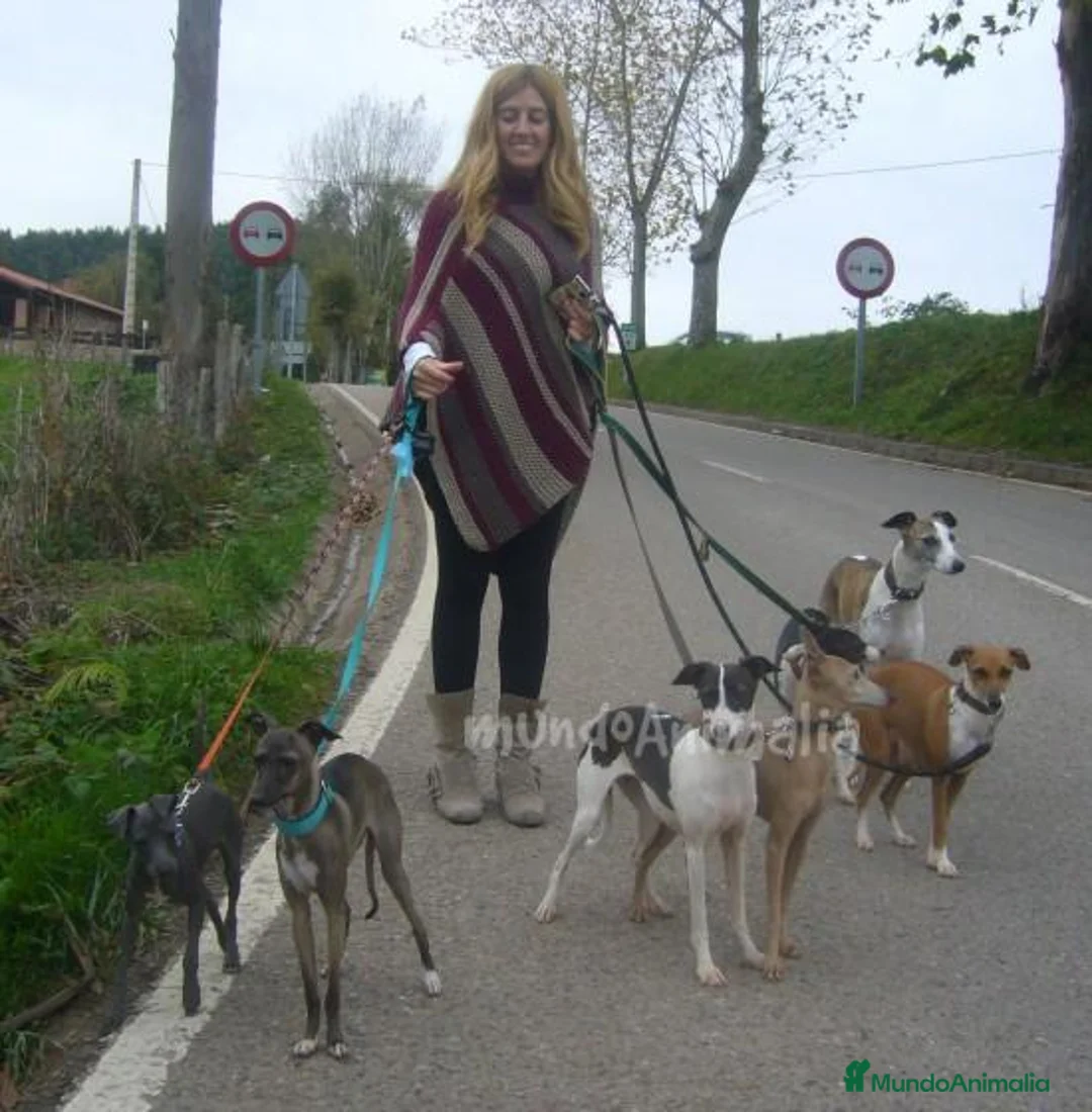 Imagen de galería {{count}}