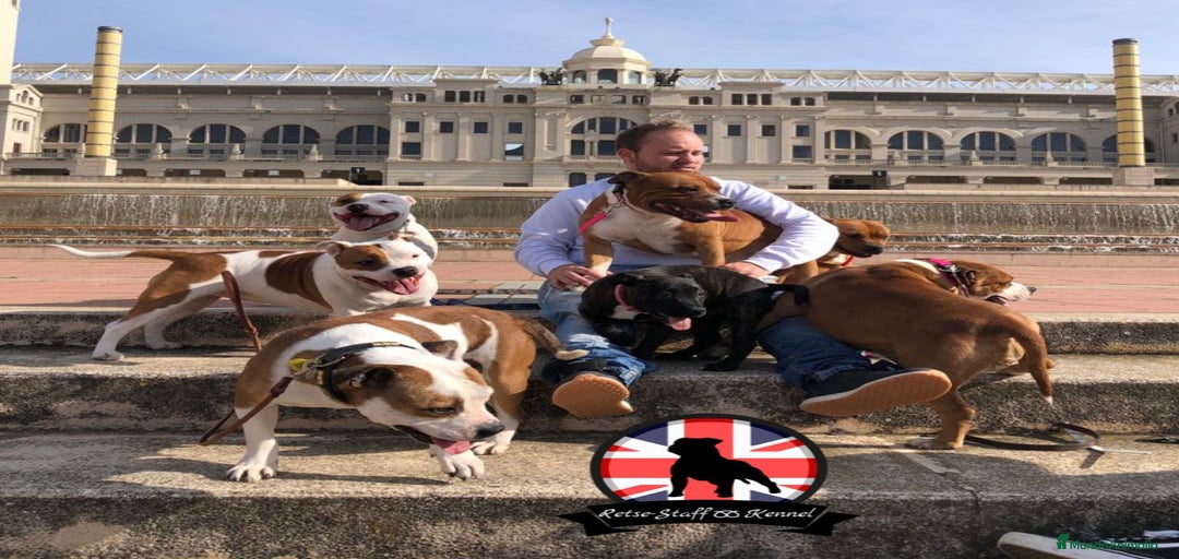 Imagen de galería {{count}}