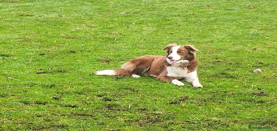 Imagen de galería {{count}}