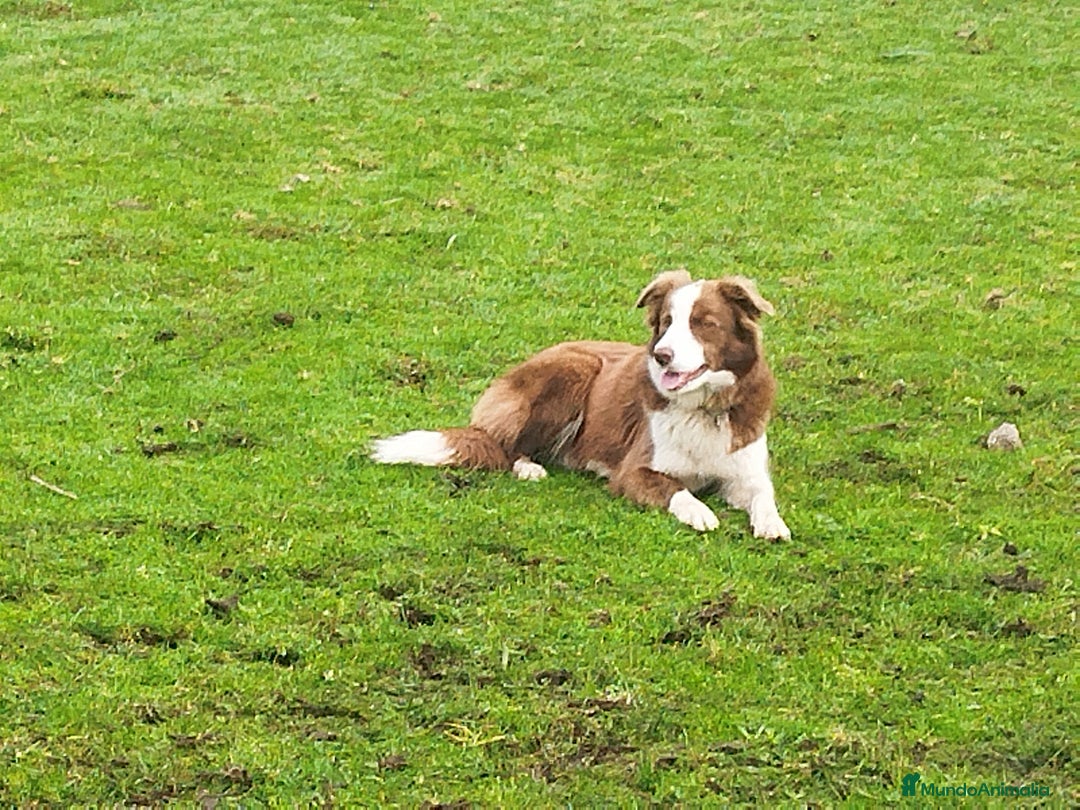 Imagen de galería {{count}}