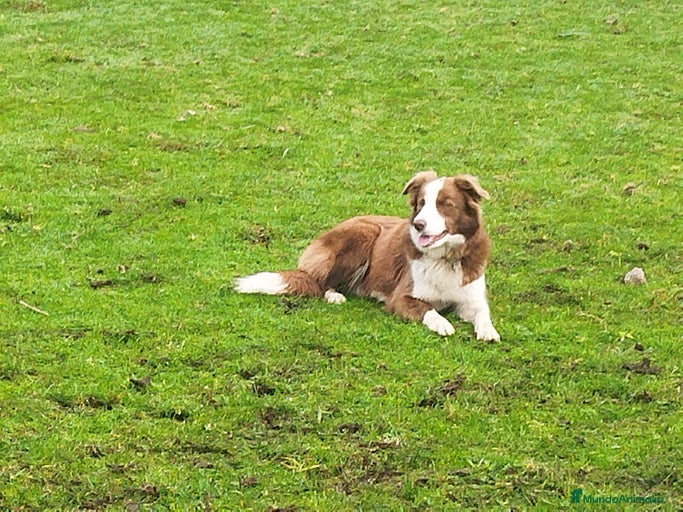 Imagen de galería {{count}}