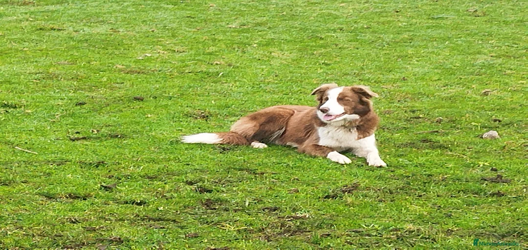 Imagen de galería {{count}}