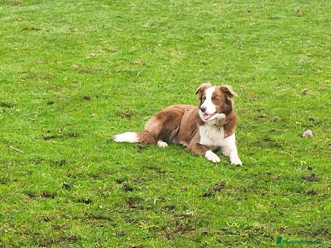 Imagen de galería {{count}}